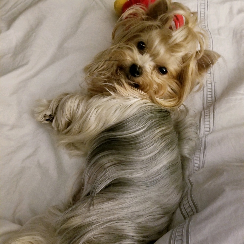 Meet your Posher, Karyn